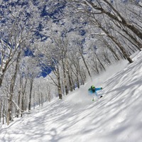 長野・白馬のスキー場がオープン間近…栂池高原、白馬乗鞍温泉、白馬コルチナ 画像