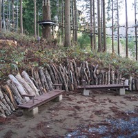 福井県に日本最大の冒険の森「ツリーピクニックアドベンチャーいけだ」誕生