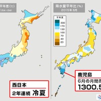 2015年の天気を表す漢字「変」と「雨」