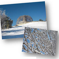 六甲山・摩耶山で冬あそび…天然の氷上で大運動会を開催