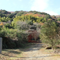 閑居山の山容。閑居するのにふさわしい山の形。