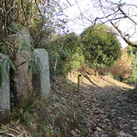 閑居っぽい小道。