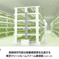 【話題】東芝、植物工場で長期保存可能な無農薬野菜を安定生産