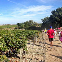 フランス・ボルドーを走る「メドックマラソン」…ワインを飲んで仮装して楽しむ 画像