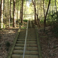 登山道の階段