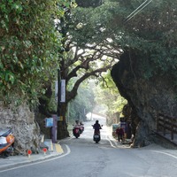 島を一周する道。多くの観光客はレンタルしたオートバイを利用する
