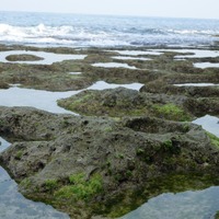 サンゴでできた磯場ならではの景観が広がる