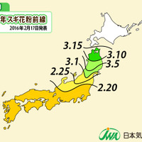 花粉シーズンがスタート、ピーク時期は例年並み