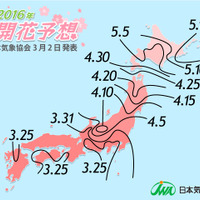 桜の開花予想…関東南部のお花見は3月下旬 画像