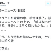 愛媛FCの非公認マスコット・一平くんのツイッターより