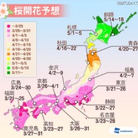 2016年の「桜開花予想」（ウェザーニュース）