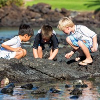 子ども向け「クラブ・ケイキ・サマーキャンプ」がハワイで開催 画像