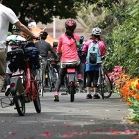 東京もあと5年で自転車が普及する…自転車王国オランダ公使 画像