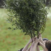 オリーブをオリンピアンと運ぶ「目黒区・自由が丘植樹リレー」開催 画像