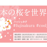 日本の桜を世界へ拡散。富士フイルムとGoogle+がSNS投稿型写真コンテスト 画像