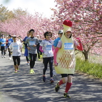 東北風土マラソンと連携し、東北の魅力を海外に発信「RUN! 東北プロジェクト」