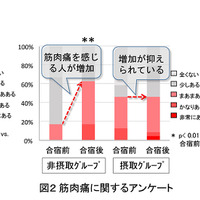 運動時の疲労感と筋肉痛をラクトトリペプチド含有乳タンパク分解物が軽減