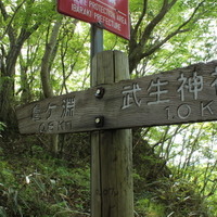 茨城県の武生山から亀ヶ淵へ続く道にある分岐点。ここからドラマが始まった……。