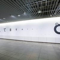 北海道に謎の視力検査型ポスター登場…スポ×コン応援団 画像