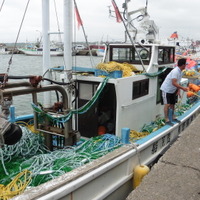 茨城県大洗町の海水浴場、7/16に海開き…サメ防護網設置