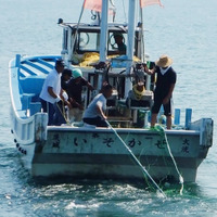 茨城県大洗町の海水浴場、7/16に海開き…サメ防護網設置