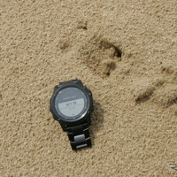 この地点の高度は38mだ。砂の上の足跡は野生のシカらしい