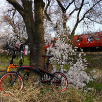 折りたたみ自転車ダホンの乗り手がサイクリングの途中で見つけた素敵な景色