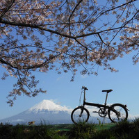 折りたたみ自転車ダホンの乗り手がサイクリングの途中で見つけた素敵な景色