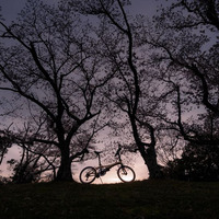 折りたたみ自転車ダホンの乗り手がサイクリングの途中で見つけた素敵な景色