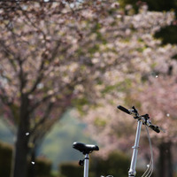 折りたたみ自転車ダホンの乗り手がサイクリングの途中で見つけた素敵な景色