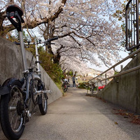 折りたたみ自転車ダホンの乗り手がサイクリングの途中で見つけた素敵な景色