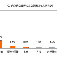 肉体的な疲労の主な原因はなんですか？