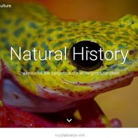グーグルバーチャルツアーに自然史コレクション追加、科博も参加 画像