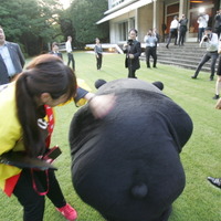 あーあ、芝生まみれになっちゃった