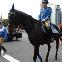 青山ワールドスポーツパレード、2015年の様子