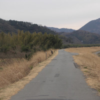 狩野川の堤防上に延びる自転車道。僕がかつて訪れたときに撮ったもの