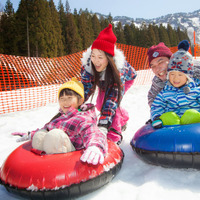 スキー・スノーボード宿ランキング、新潟・長野のホテルが上位…楽天トラベル 画像
