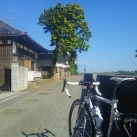 【山口和幸の茶輪記】茨城・つくば「りんりんロード」でサイクリング…首都圏から日帰りできるパラダイス