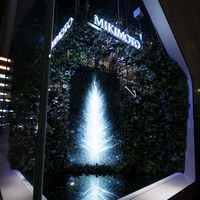 チームラボがミキモト銀座2丁目本店のショーウィンドウにてインタラクティブ作品「Sparkling Dream Tree by teamLab」を展示