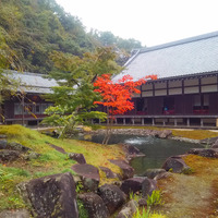 【山口和幸の茶輪記】鎌倉観光はアプリで楽しもう…「いざマイル鎌倉」で散策してきた 画像