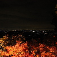 モミジだけでなく、関東平野の夜景も楽しめる