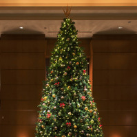 ザ・リッツ・カールトン東京に、ドルチェ＆ガッバーナによるクリスマスツリーが登場