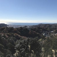 鎌倉の代表的なハイキングコース、建長寺の半僧坊からの眺め
