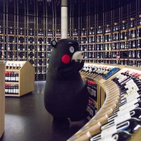ボルドーのワイン博物館「シテ・デュ・ヴァン」では世界中のワインが並ぶ