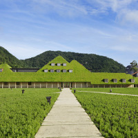 自然を生かした建築…建築家・藤森照信の展覧会が水戸芸術館で開催 画像