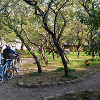 「たちかわ創造舎」のサイクリングで武蔵野の自然や文化を満喫