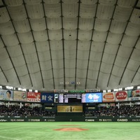 【4月8日プロ野球全試合結果】広島が引き分けを挟み6連勝、オリックス・ロメロは4戦連発で4連勝に貢献 画像