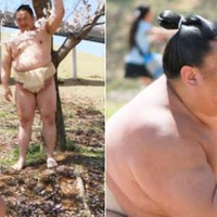 「ヌードかなぁ～と思った」「御嶽海関のグラビア感www」お相撲さんのプライベートが面白い！ 画像