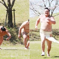 「ヌードかなぁ～と思った」「御嶽海関のグラビア感www」お相撲さんのプライベートが面白い！
