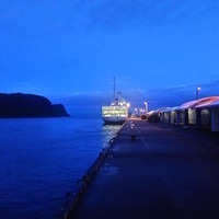 大型客船が早朝に伊豆大島に到着。風向きによって岡田港か元町港かどちらかに着岸する